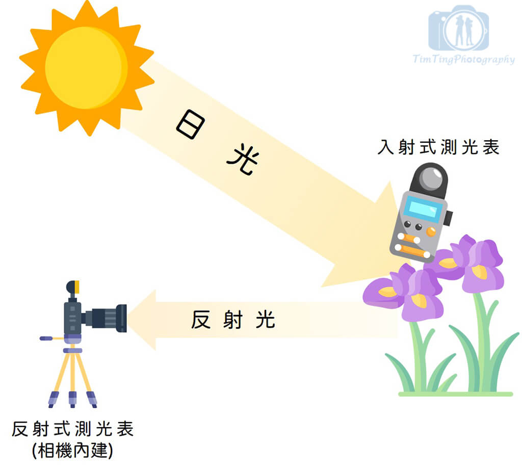 12-03 Light Metering
