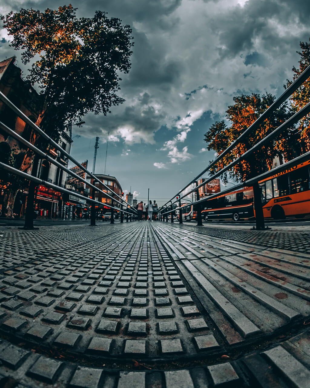 17-05 FishEye_FF