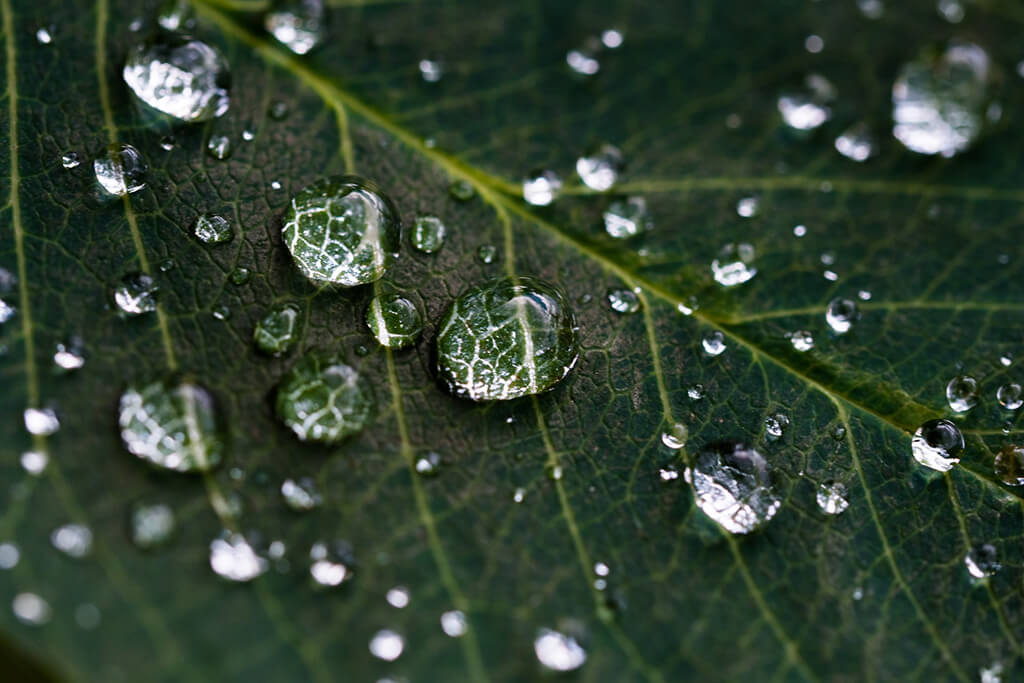 17-11 macro