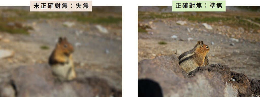 24-01_focus_vs_unfocus