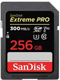 26-13_sd_sandisk_2